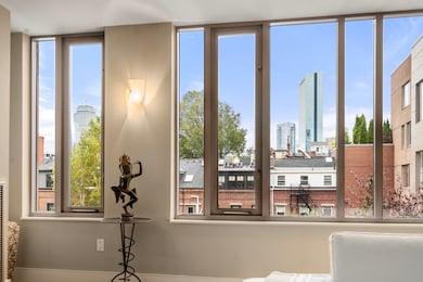 Wilkes Passage unit 330, Boston, MA 02118 - photo 4
