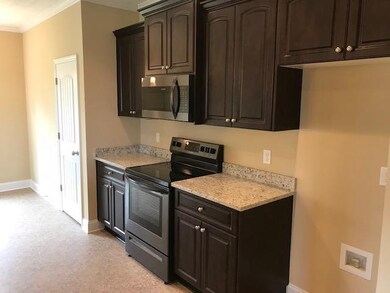 Kitchen - Oven & Microwave