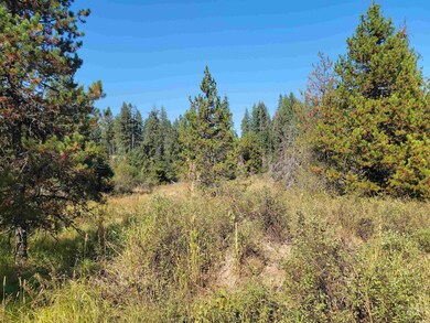 TBD Lacey Meadows Rd, Weippe, ID 83553 - photo 6