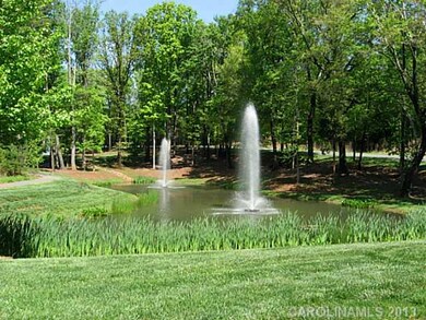 Other - Ponds and walking trails