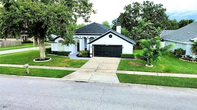 28739 Raleigh Place, Wesley Chapel, FL 33545 - photo 3