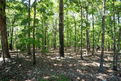 1103 Brown Bear Trail, Flint Creek, OK 74347 - photo 3