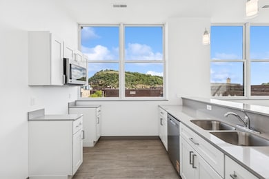 222 Bush St unit 303, Red Wing, MN 55066 - photo 5