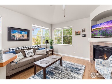 Tons of natural light!