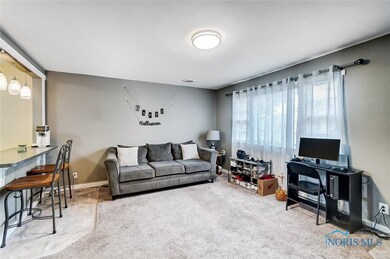 232 Clifton Ave, Findlay, OH 45840 - photo 4