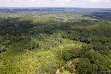 927 Highway 166, Elba, AL 36323 - photo 5