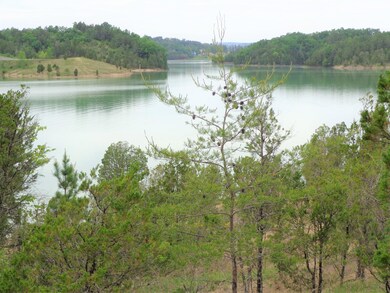 updated lake 5-9-19 (13)