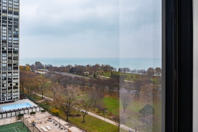 Park Tower Market unit 1608, Chicago, IL 60640 - photo 2