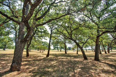 1180 Boos Ln, Fredericksburg, TX 78624 - photo 4