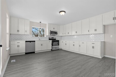 7097 State Route 3, Evansville, IL 62242 - photo 4