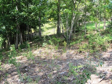 10 Eagle Cicle Interior view 3