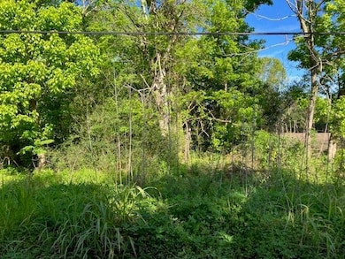 0 Stanton Rd, New Orleans, LA 70131 - photo 5