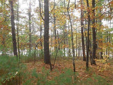 73 Silver Ln, Limerick, ME 04048 - photo 3