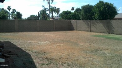 Forge_Back Yard_1
