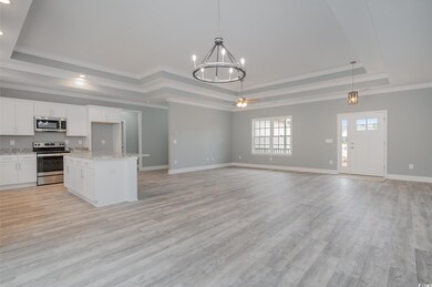 Kitchen with white cabinetry, stainless steel appliances, pendant lighting, light hardwood / wood-style floors, and a tray ceiling