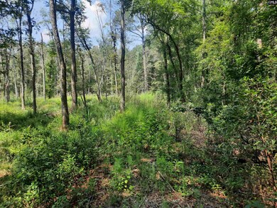 569 River Rd, Salley, SC 29137 - photo 4