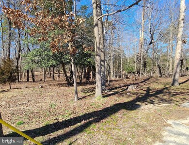 1013 NE Lakeshore Dr, Millville, NJ 08332 - photo 5