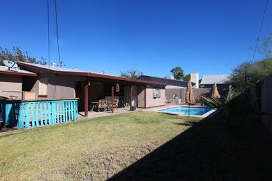 Large Backyard