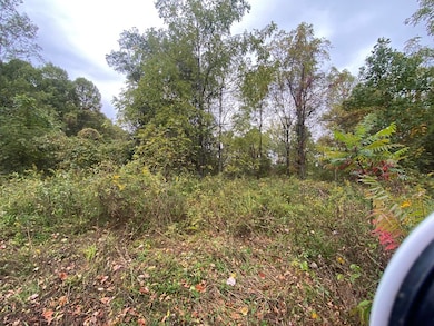 TBD Bandy Rd Whitaker Ridge Area, Bandy, VA 24602 - photo 5