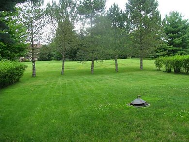 Yard/Garden