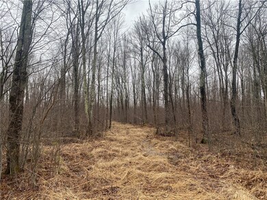 ON Cth I, Ogema, WI 54459 - photo 6