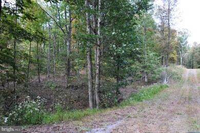 7 Smokeyshire Ln, Cross Junction, VA 22625 - photo 4