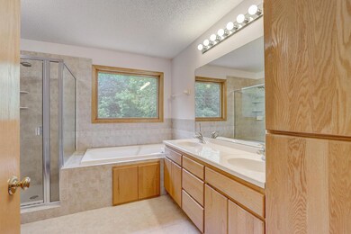 13593 Danube Ln, Rosemount, MN 55068 - photo 6