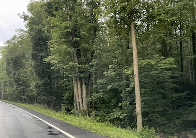 1 Lafayette Ave, Tamaqua, PA 18252 - photo 4