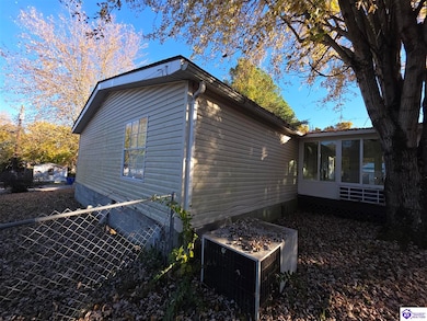 302 Thomas St, Leitchfield, KY 42754 - photo 7