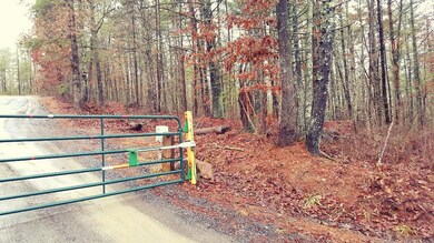 Road Access before gate