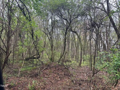 0 Moons Chapel Rd unit 10020399, Siler City, NC 27344 - photo 3