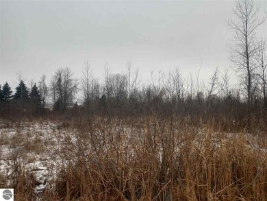 0 S Main St unit 1856110, Au Gres, MI 48703 - photo 3