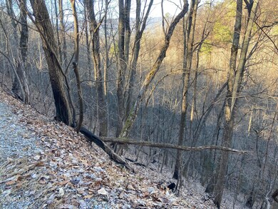 Lot 18 Sugar Maple Loop Rd