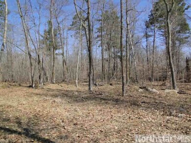 L4, B3 Cardarelle Cir, Hackensack, MN 56452 - photo 6