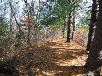 244 Regency Park Dr, Agawam, MA 01001 - photo 4