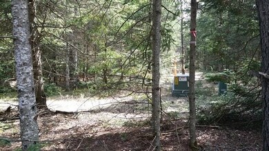 Lot 2 Wood Tick Ln, Tomahawk, WI 54487 - photo 4