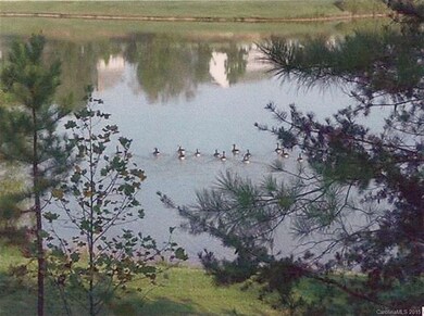 Lot 40 Luther Dr unit Lot 40, Iron Station, NC 28080 - photo 3