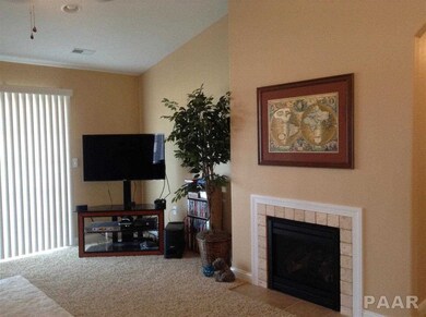 4546 N Thornhill Dr unit 201 D, Peoria, IL 61615 - photo 3