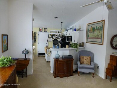 4201 Applewood Dr, Farmington, NM 87402 - photo 6