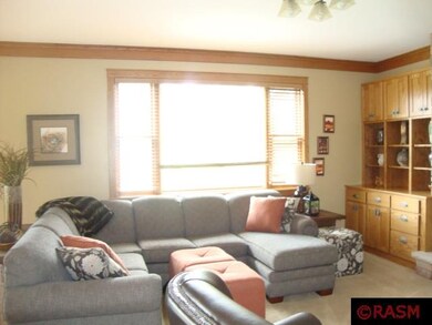 437 Woodhaven Ln, Mankato, MN 56001 - photo 5