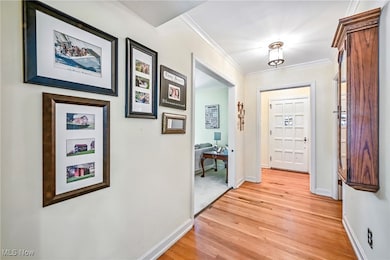 Hall with ornamental molding, light wood-style floors, and a desk