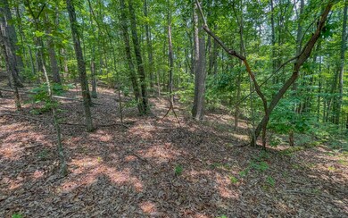 0 Wendy Hill Rd unit 327392, Ellijay, GA 30536 - photo 4