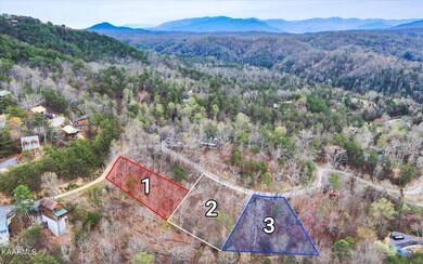 3-Red-Bone-Way-Sevierville-TN-3