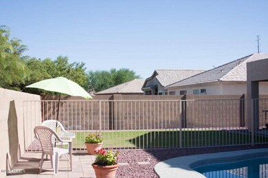 Back yard
