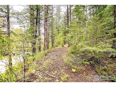 10862 Twin Spruce Rd, Coal Creek Canyon, CO 80403 - photo 4