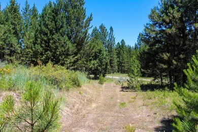 Driveway Exiting Property
