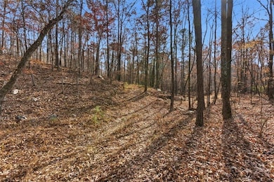 0 Flowery Branch Rd unit 7684237, Kingston, GA 30145 - photo 4