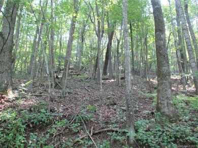 Lot 14 Laurel Dr. (Picture taken frm. low side of 
