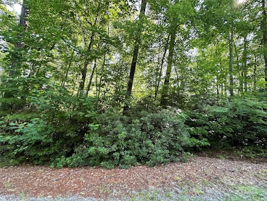 67 Peppervine Cir, Rosman, NC 28772 - photo 2