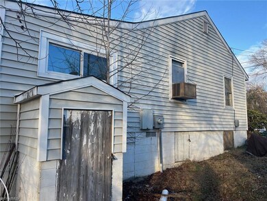 Side view with cellar entry door.